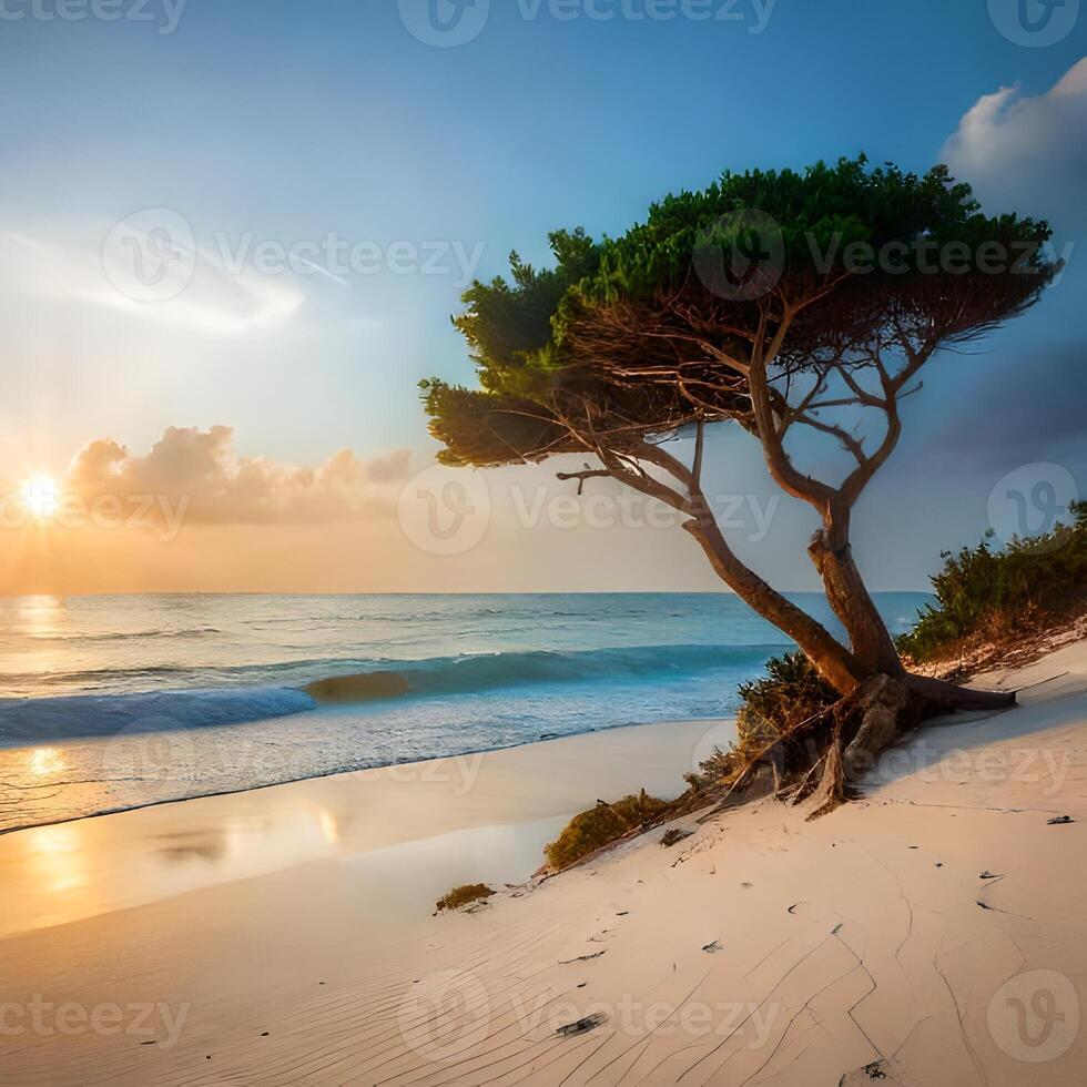 esotico albero su il spiaggia di socotra isola, generativo ai professionista foto