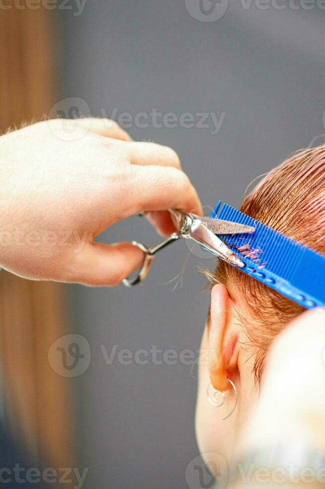 professionale parrucchiere è taglio corto rosa capelli con forbici nel capelli salone vicino su. foto