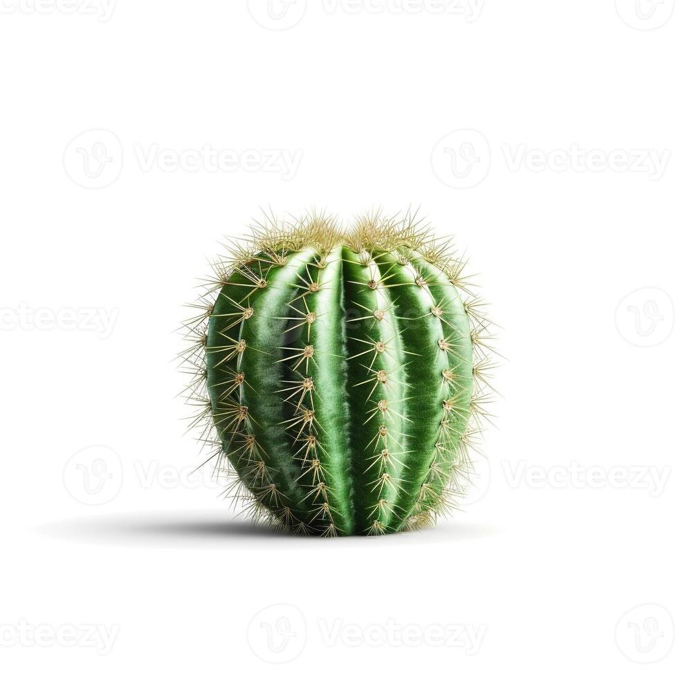 cactus su bianca sfondo. generativo ai foto