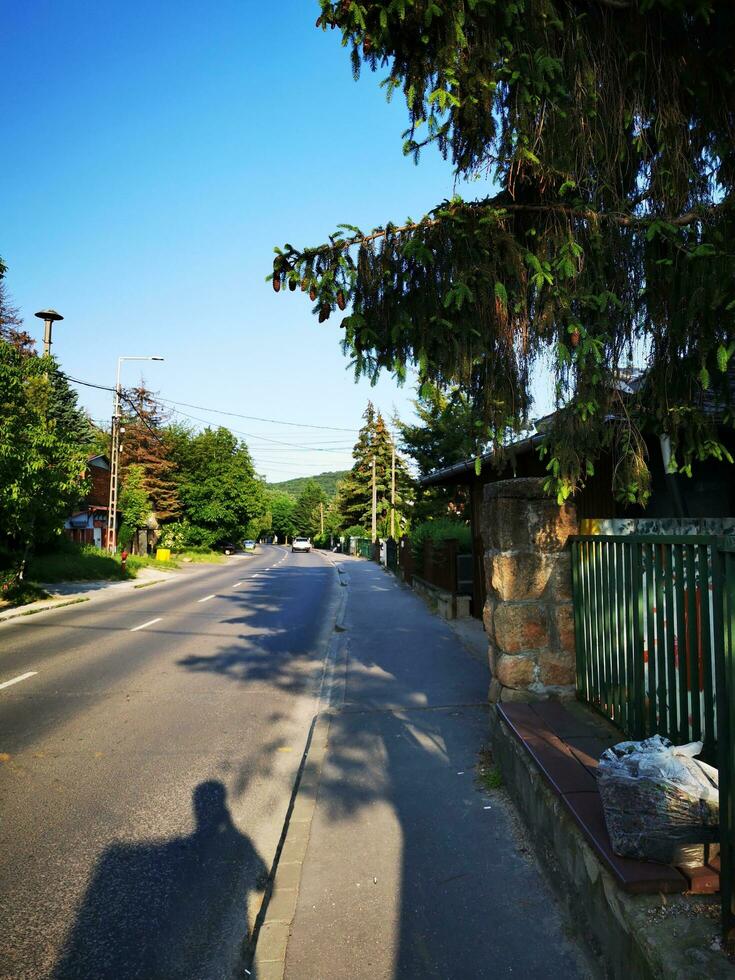 asfalto strada nel il foresta con alberi e blu cielo sfondo. foto