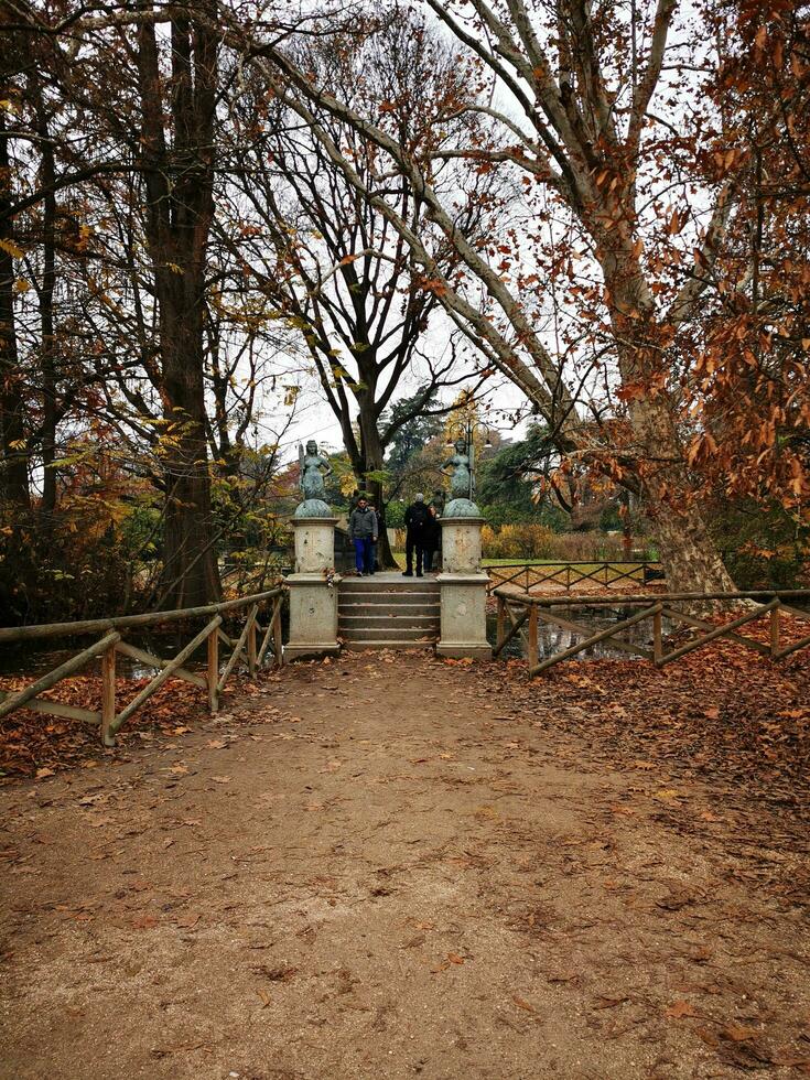 persone a piedi nel il parco nel Milano, Italia foto