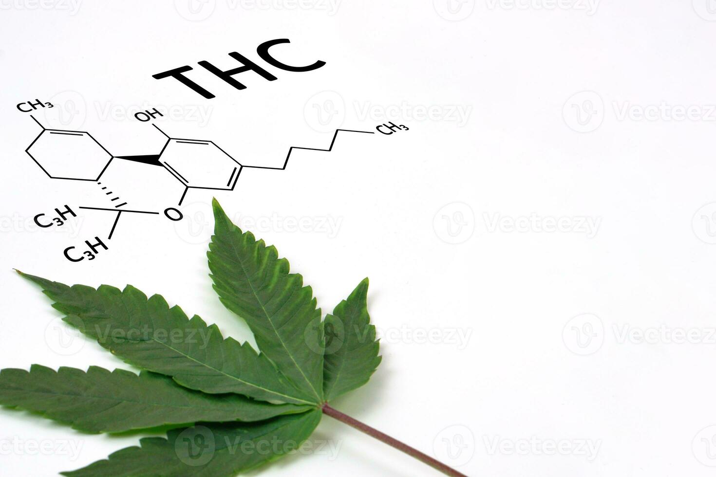 fresco canapa foglia o marijuana su bianca sfondo con testo thc. natura, medicina concetto e disposizione di un' telaio fatto di canapa foglie. foto