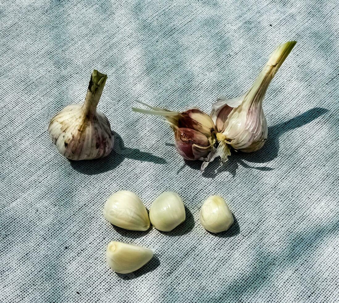 aglio Chiodi di garofano e un' testa di aglio su un' grigio tela. foto