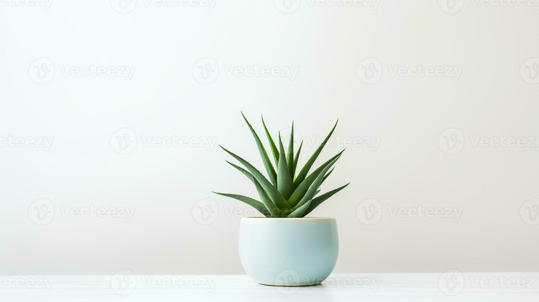 foto di Agave nel minimalista pentola come pianta della casa per casa decorazione isolato su bianca sfondo. generativo ai