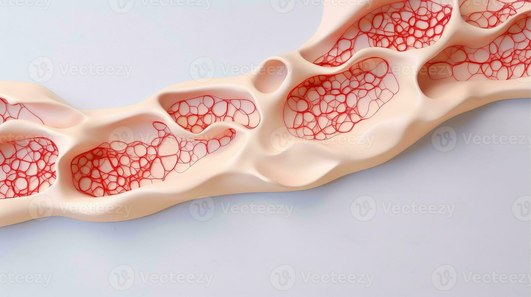 3d illustrazione modello di il umano organo sistemi, circolatorio, digestivo, rosso e bianca cellule del sangue con sfocato sfondo. medico formazione scolastica concetto, generativo ai illustrazione foto