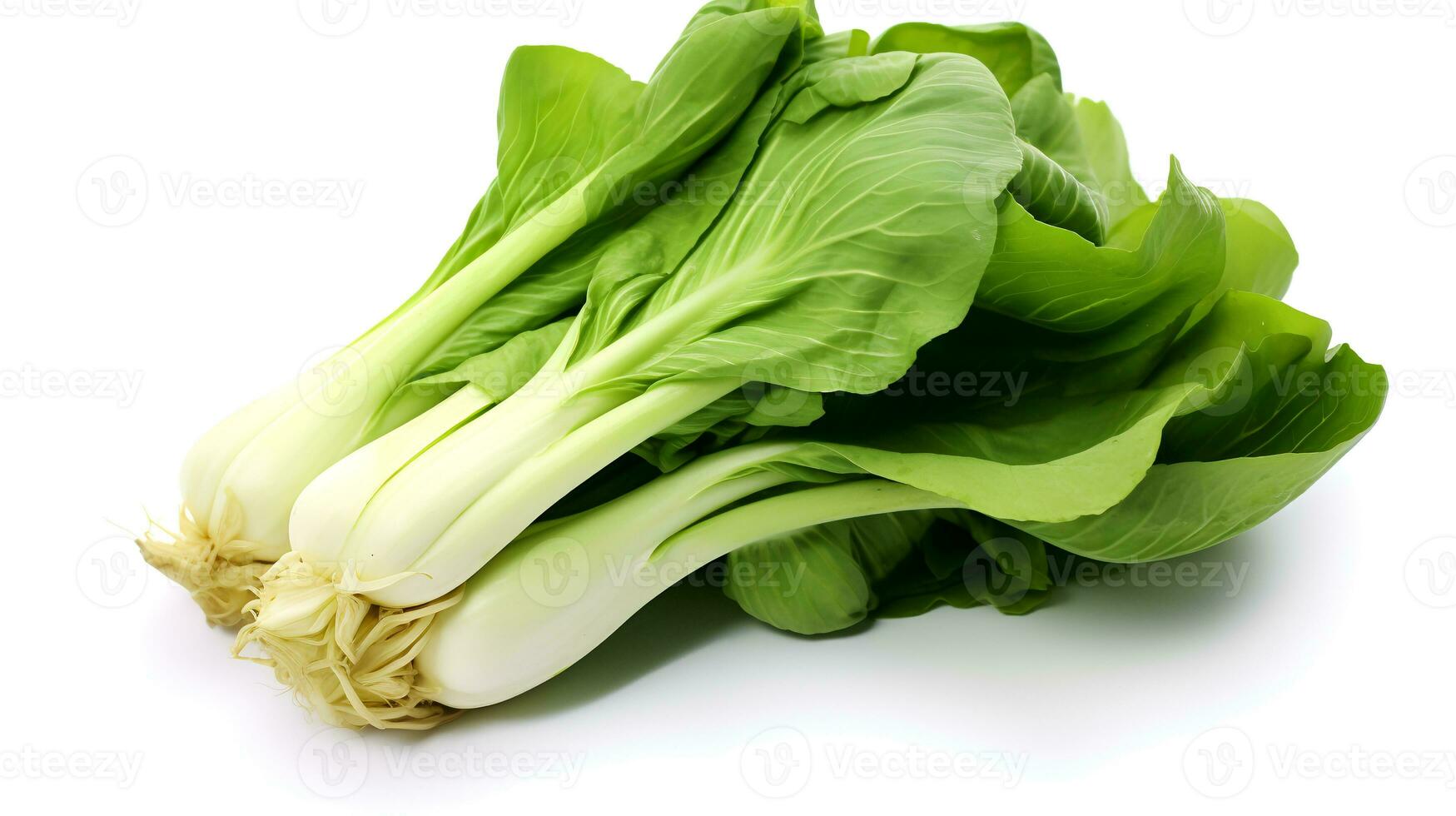 foto di bok choy isolato su bianca sfondo