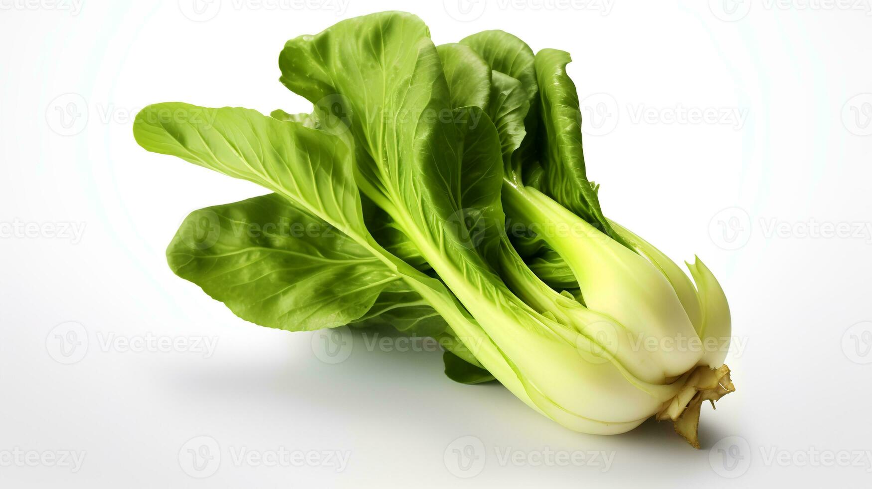 foto di bok choy isolato su bianca sfondo