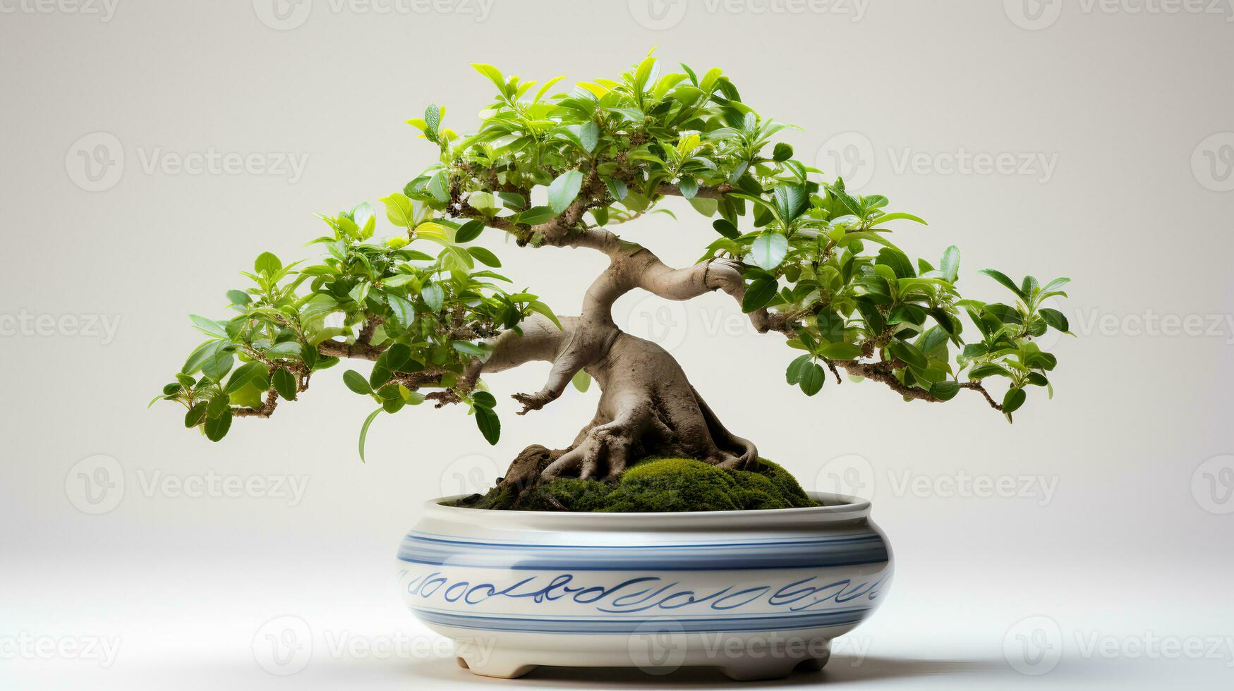 foto di Bonsai nel minimalista pentola come pianta della casa per casa decorazione isolato su bianca sfondo. generativo ai