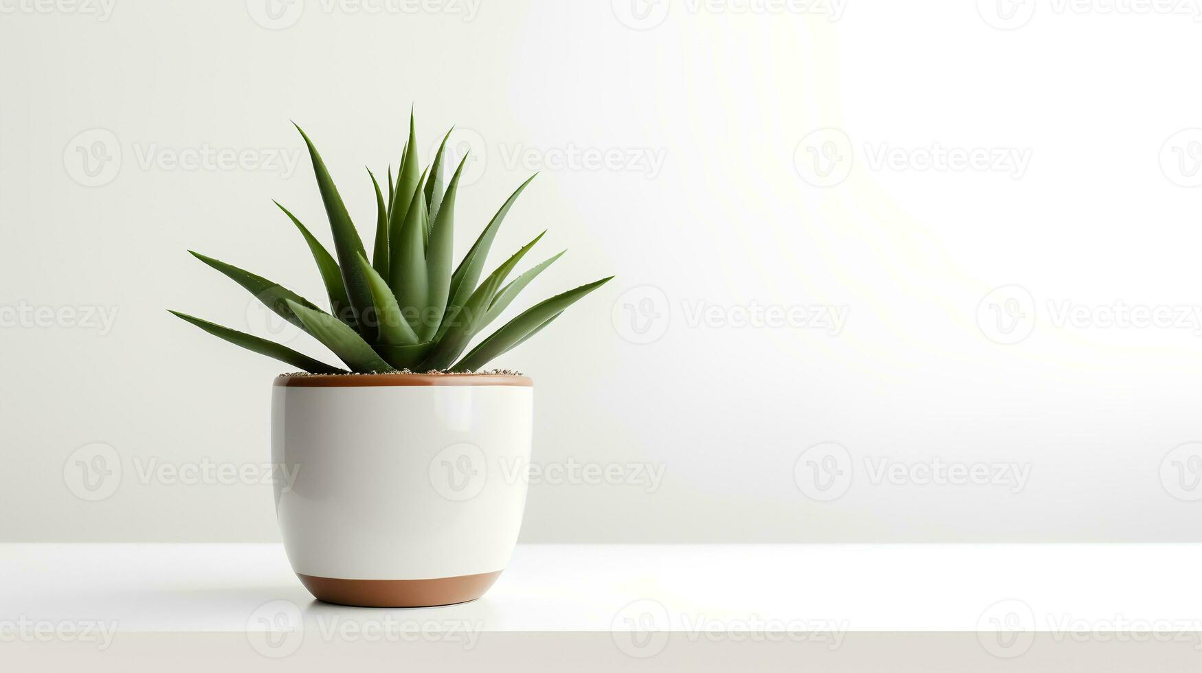 foto di Agave nel minimalista pentola come pianta della casa per casa decorazione isolato su bianca sfondo. generativo ai