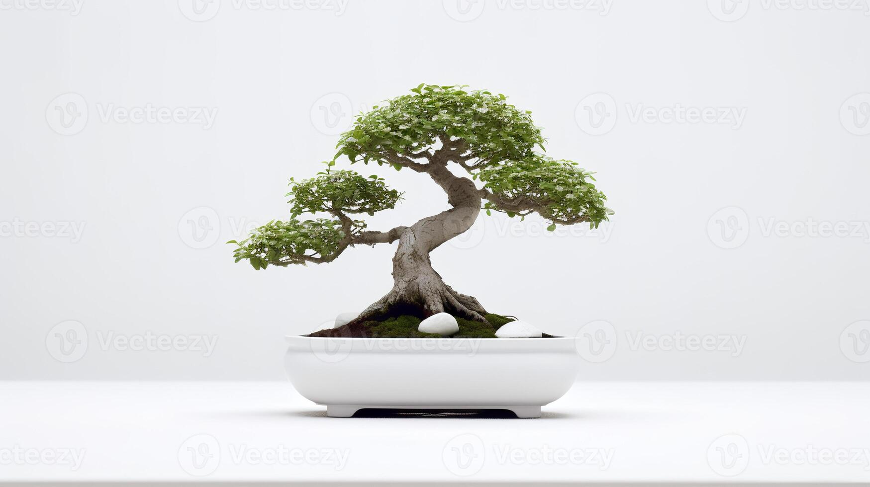 foto di Bonsai nel minimalista pentola come pianta della casa per casa decorazione isolato su bianca sfondo. generativo ai