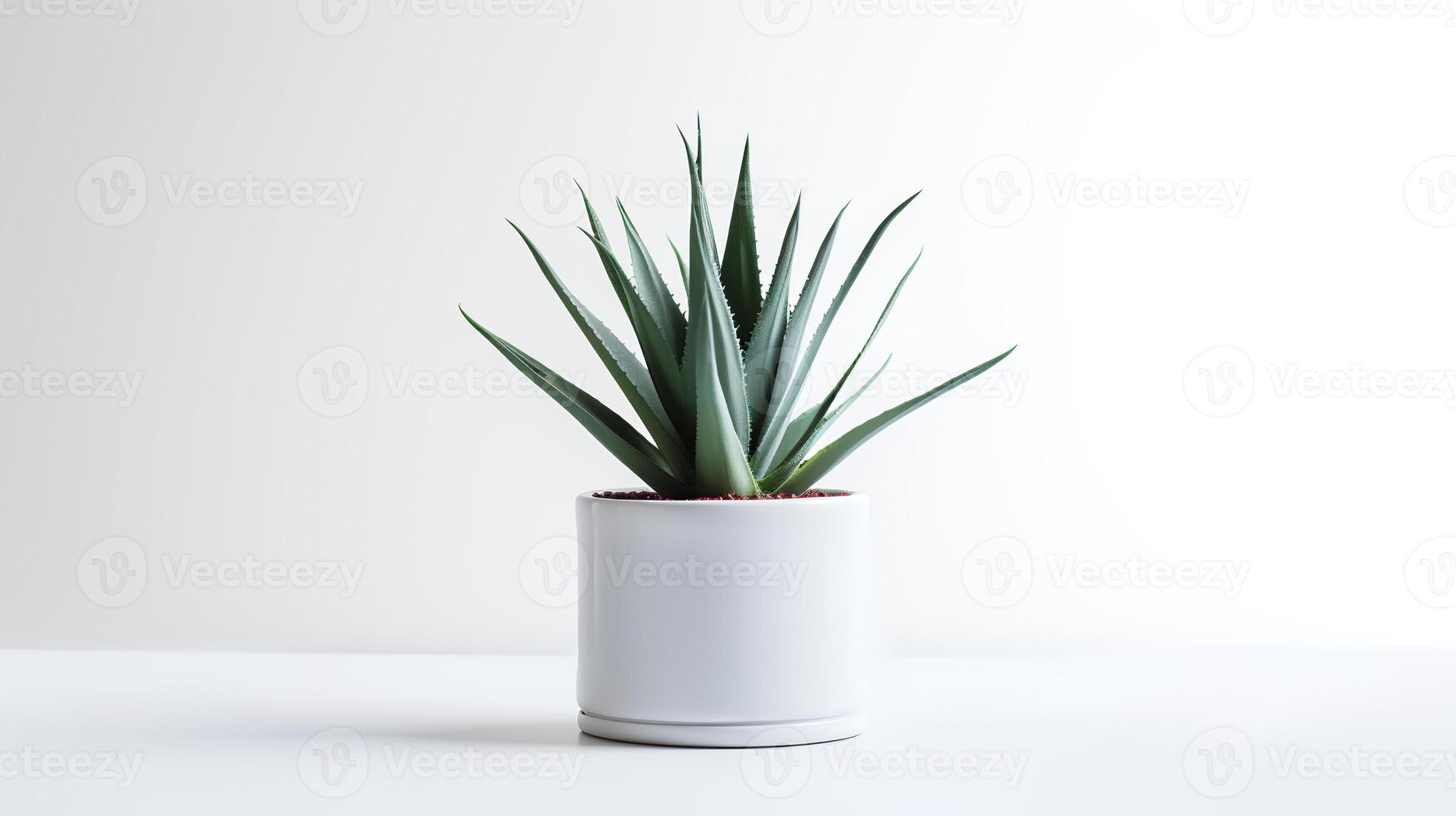 foto di Agave nel minimalista pentola come pianta della casa per casa decorazione isolato su bianca sfondo. generativo ai