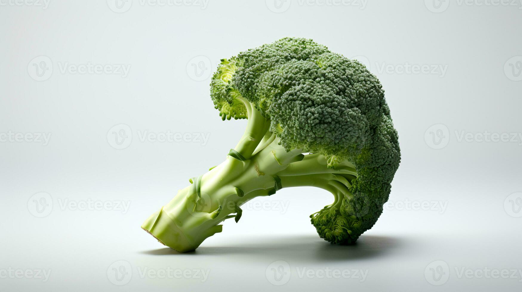 foto di broccoli isolato su bianca sfondo