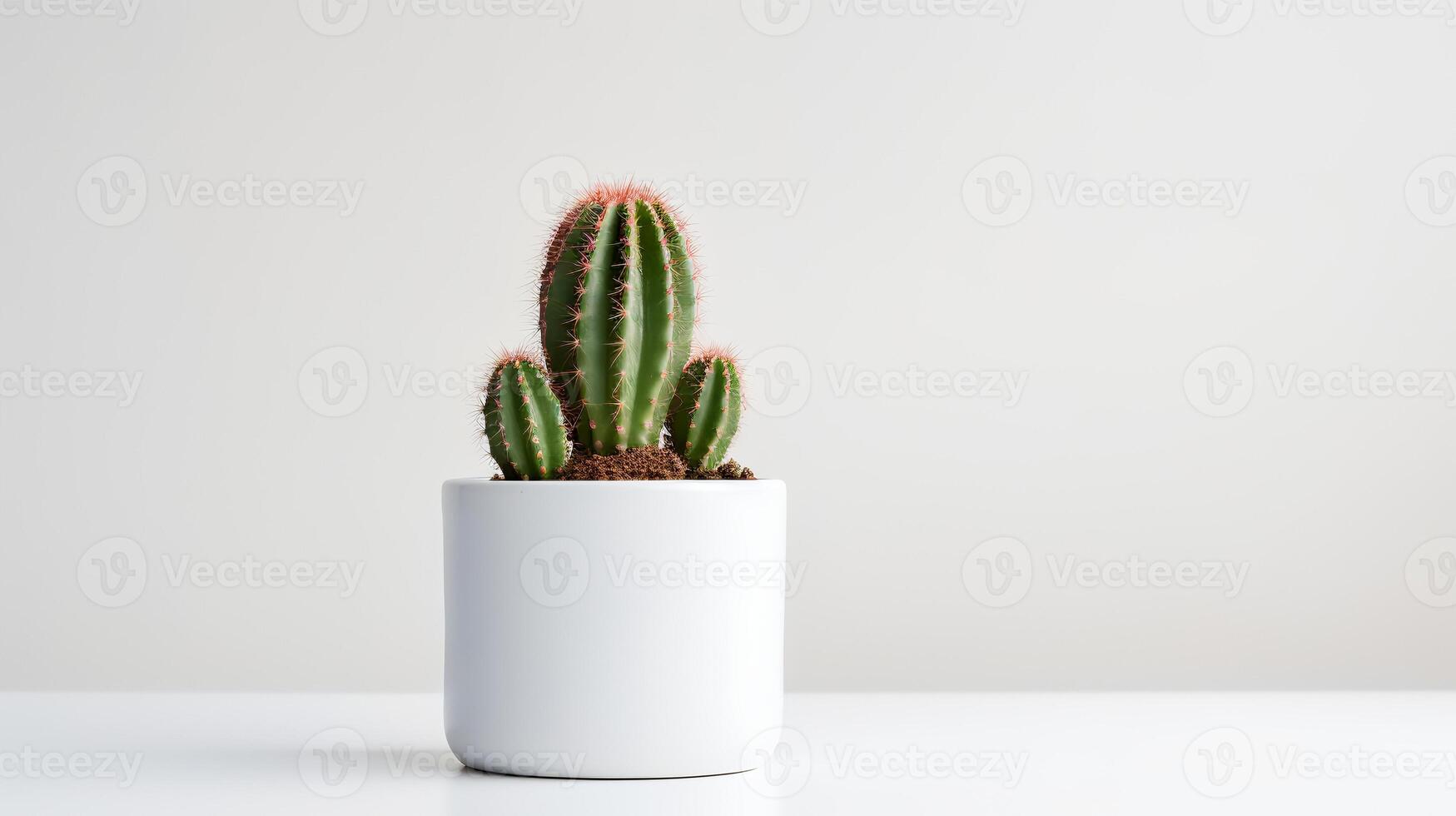 foto di cactus nel minimalista pentola come pianta della casa per casa decorazione isolato su bianca sfondo. generativo ai