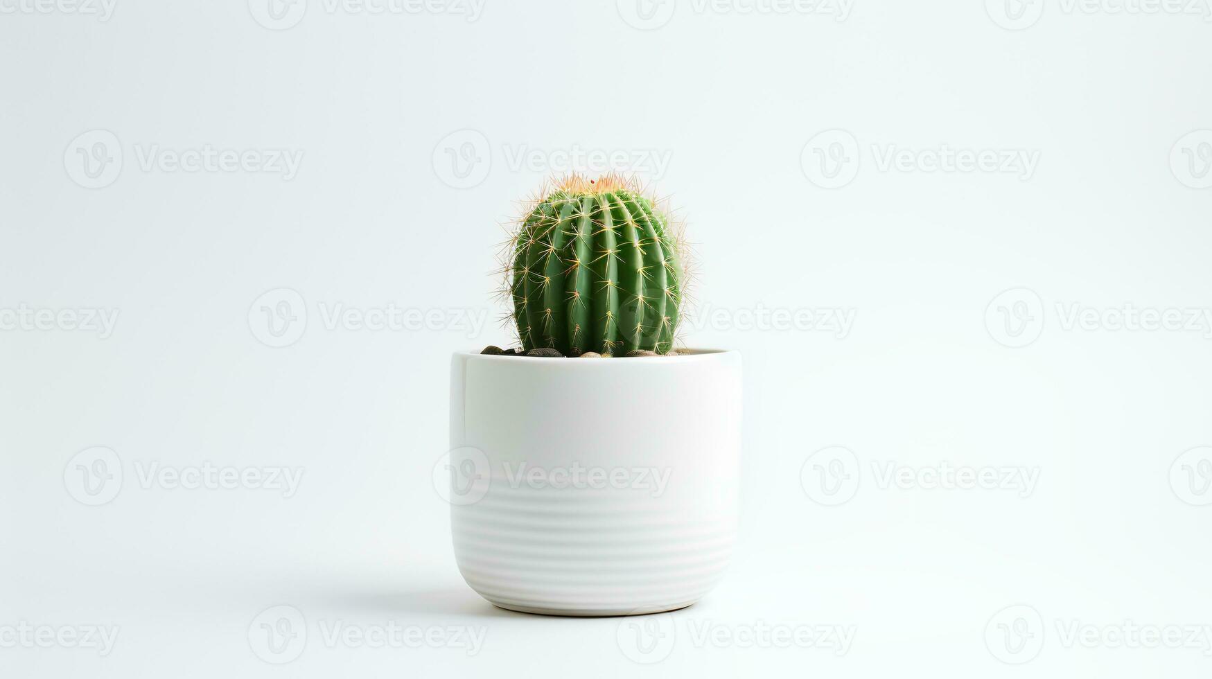foto di cactus nel minimalista pentola come pianta della casa per casa decorazione isolato su bianca sfondo. generativo ai