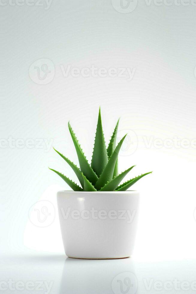 foto di aloe Vera nel minimalista pentola come pianta della casa per casa decorazione isolato su bianca sfondo. generativo ai