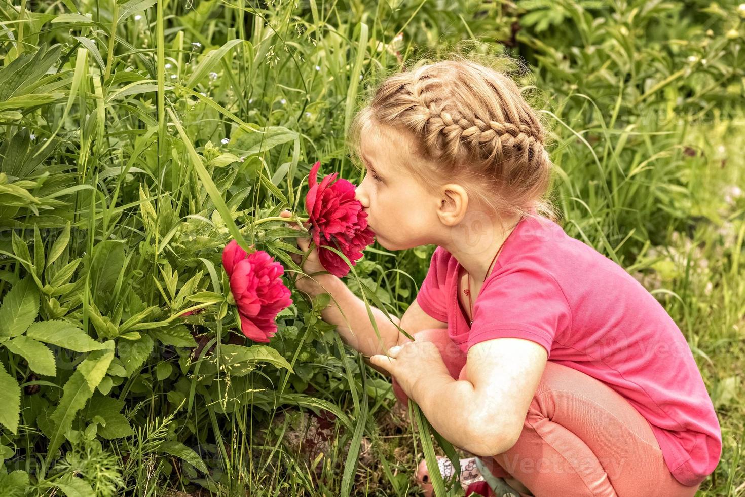 una bambina si siede vicino a un'aiuola in giardino e annusa peonie rosa brillante foto