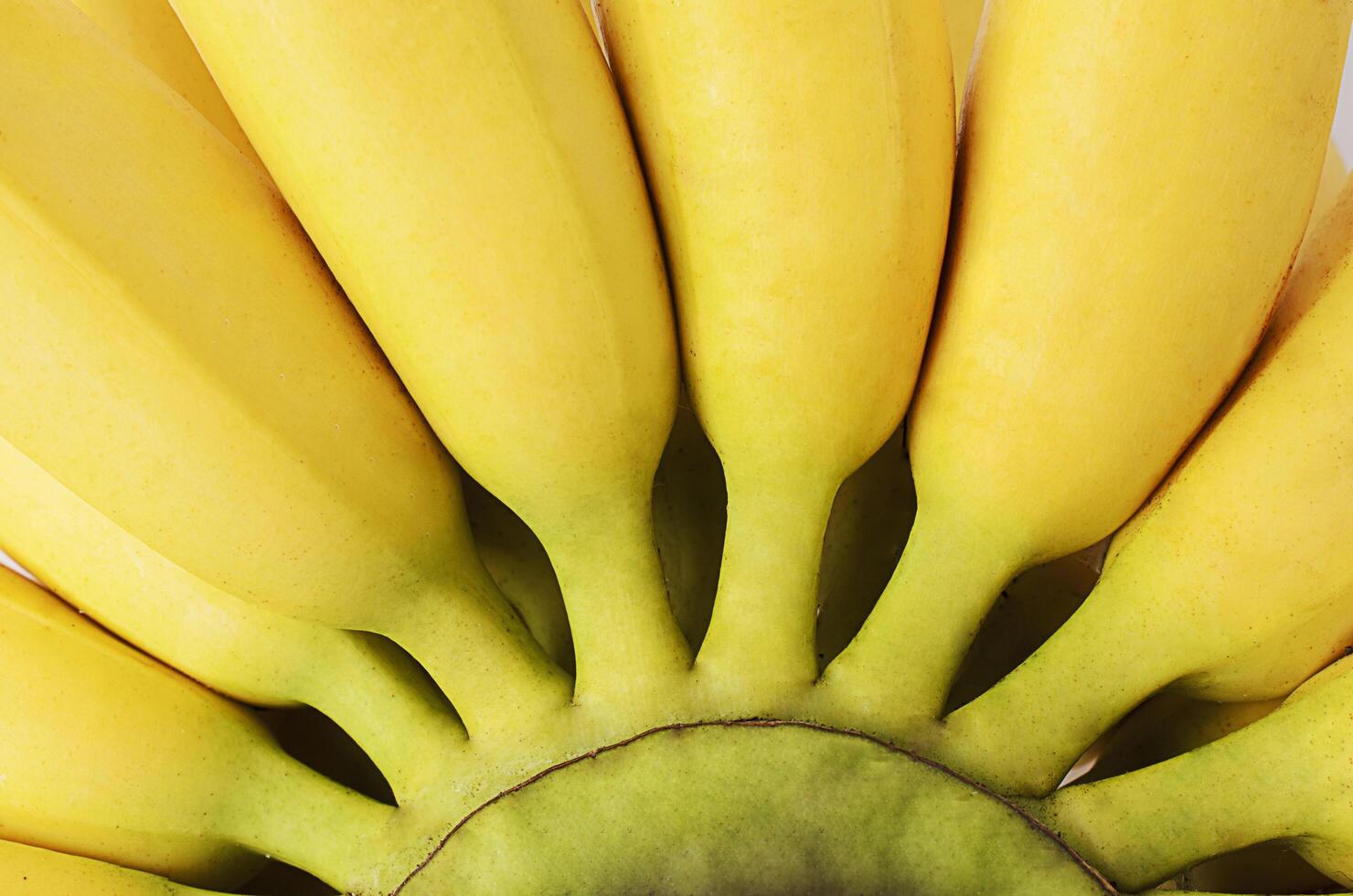 abstract sfondi texture con macro close up banana fruit foto