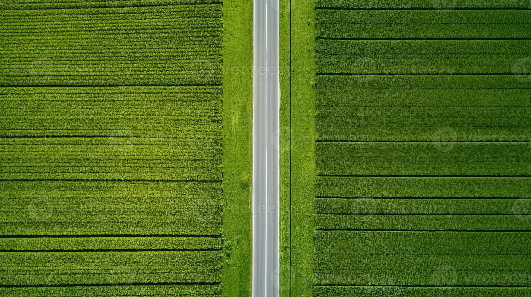 generativo ai, azienda agricola paesaggio, agricolo campi, bellissimo campagna, nazione strada. natura illustrazione, fotorealistico superiore Visualizza drone, orizzontale striscione. foto