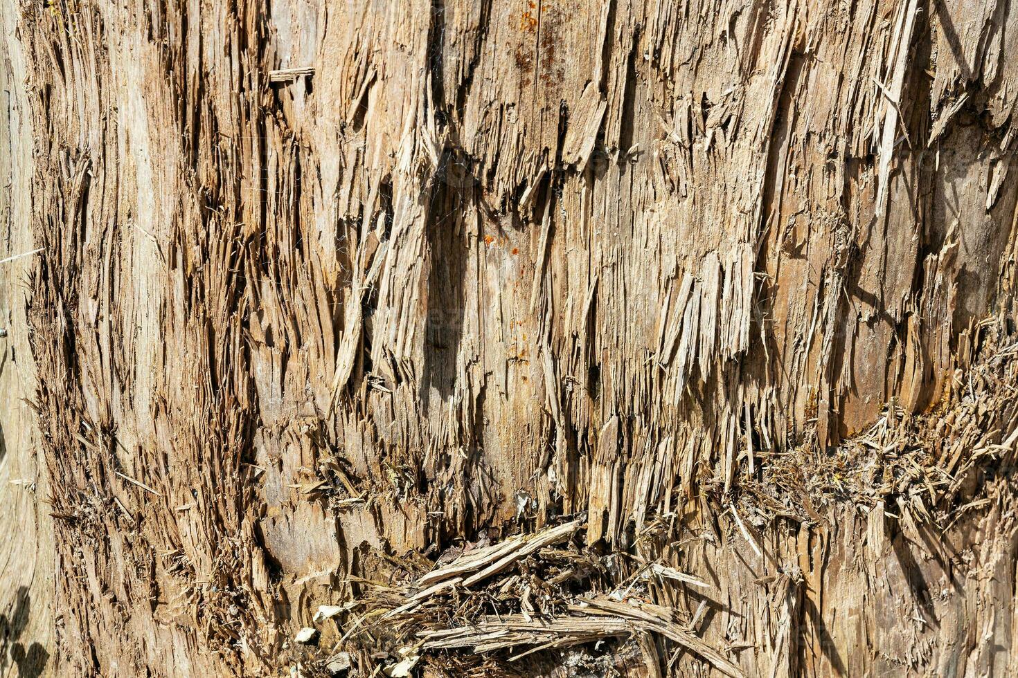 struttura astratta di legno. sfondo grunge di superficie. motivo effetto legno sporco. sfondo materiale. foto