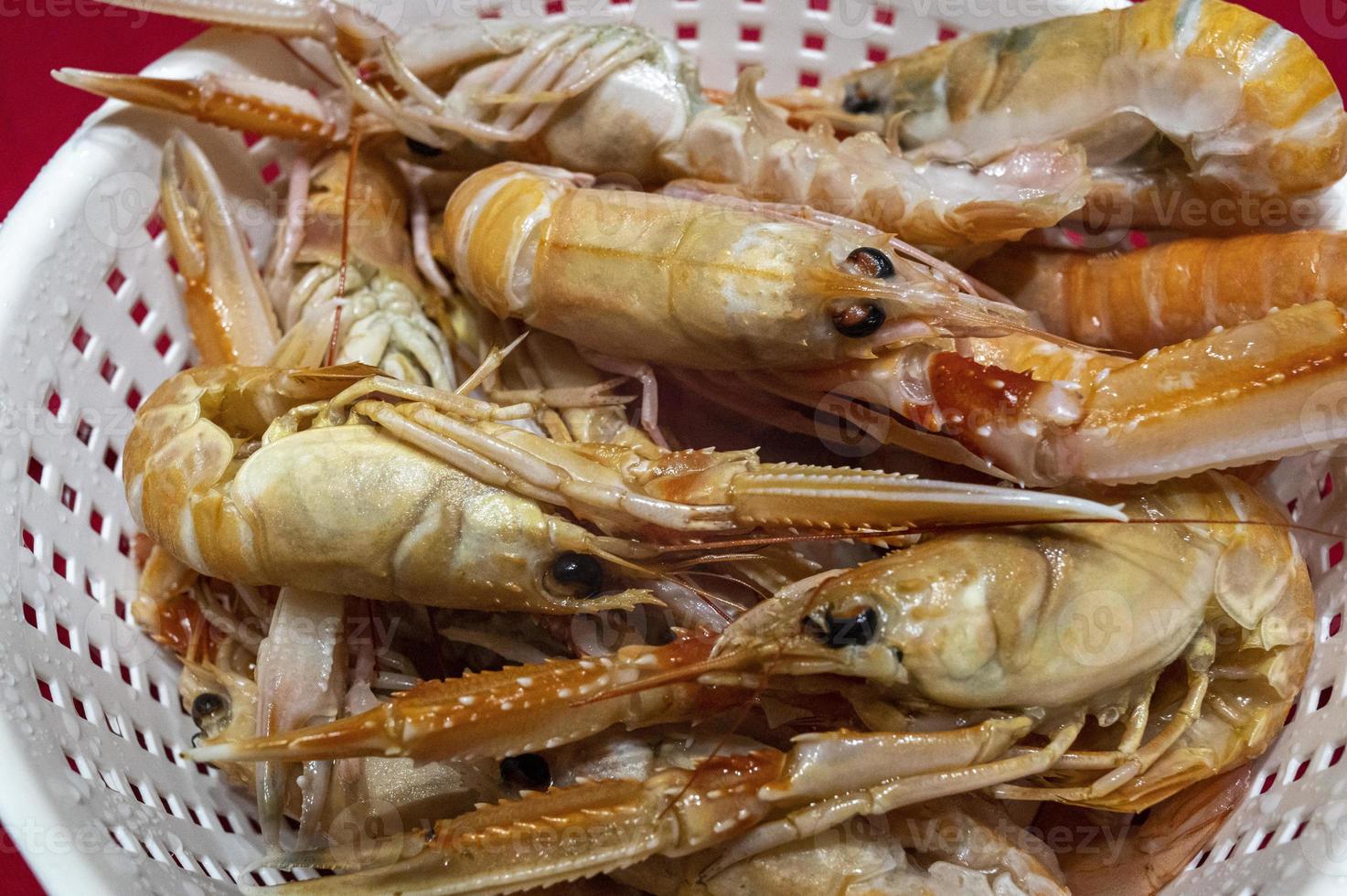 gamberi scolati pronti per zuppa di pesce foto