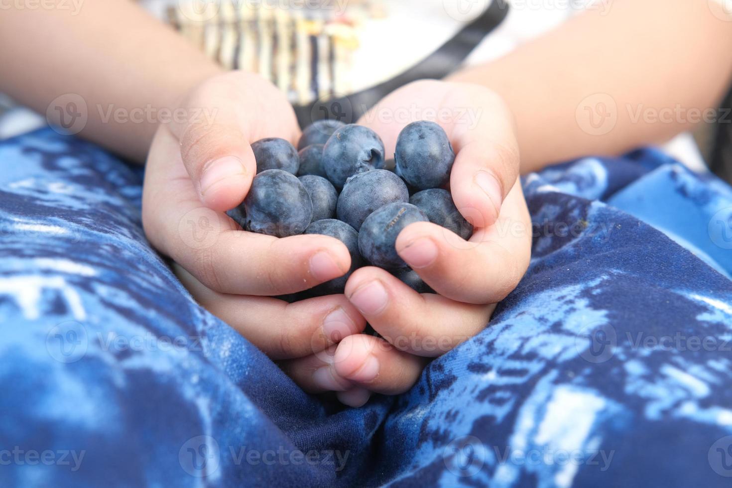 stretta di mano del bambino che tiene la bacca blu fresca. foto