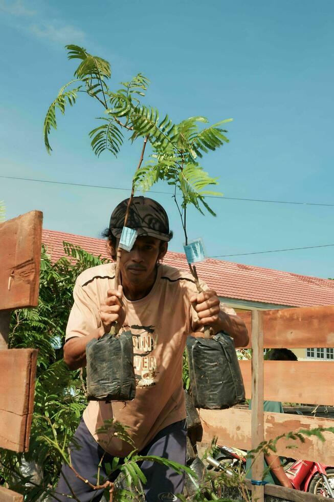 kuaro kalimantan timor, Indonesia 9 luglio 2023. visto parecchi persone trasporto pianta semi per essere Usato per rimboschimento foto