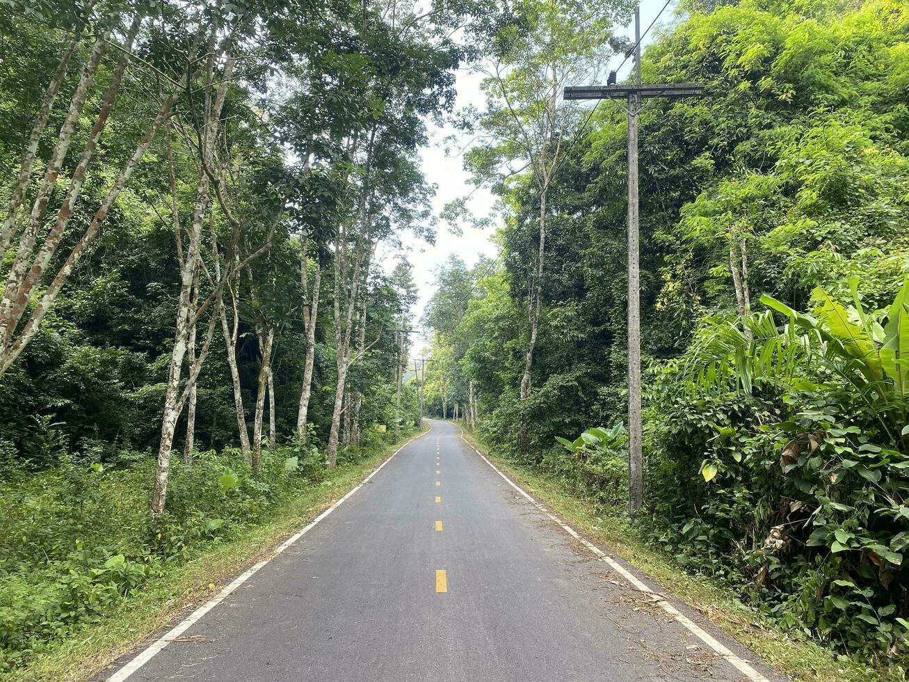 strada asfalto nel il foresta natura campagna di Tailandia, strada ambiente alto voltaggio elettrico pol. albero giungla viaggio verde paesaggio. strada modo autostrada concetto Visualizza viaggio isola naturale. foto