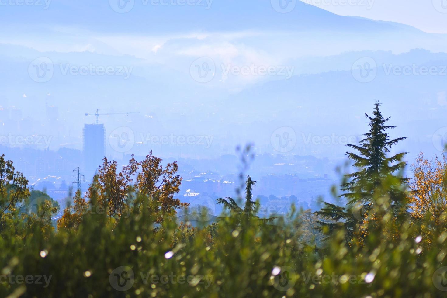 terni e la nebbia foto