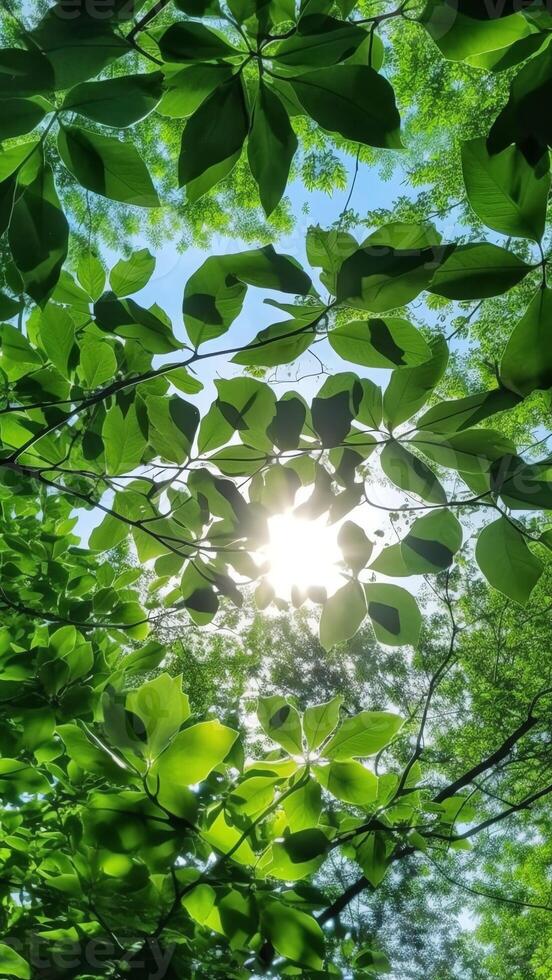 ai generativo il sole attraverso il rami di alberi mattina luce del sole attraverso il verde fogliame avvicinamento foto