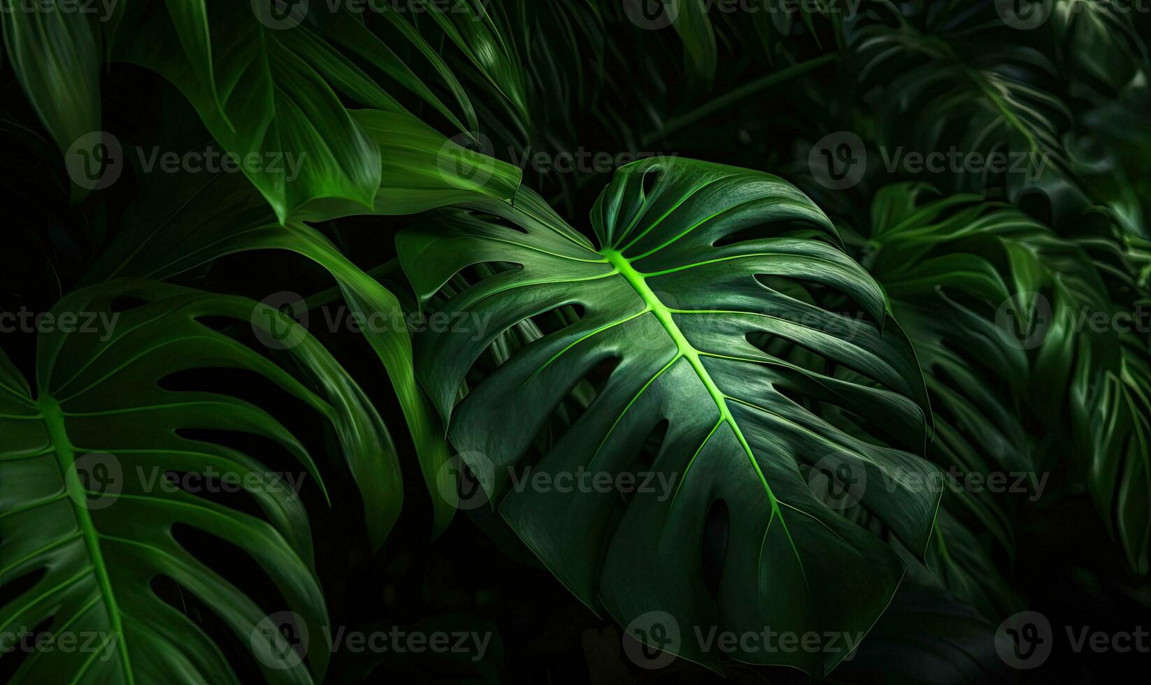 Monstera foglia sfondo. tropicale fogliame sfondo. naturale strutturato. per cartolina, libro illustrazione. creato con generativo ai utensili foto