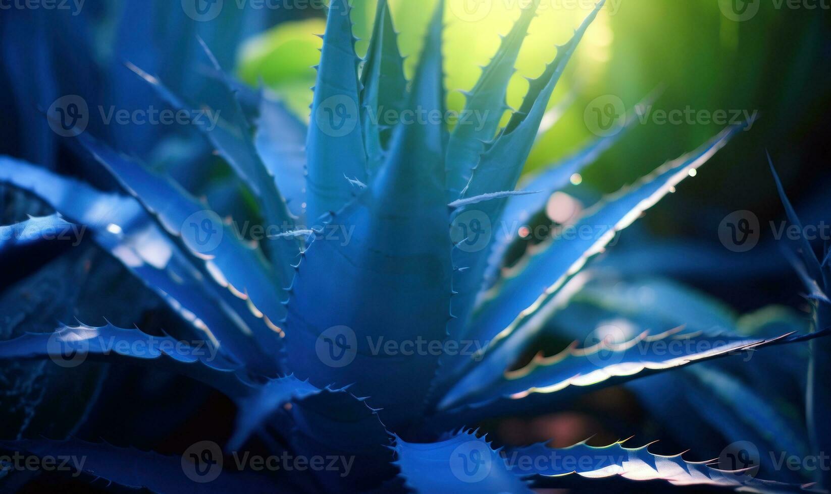blu Agave strutturato sfondo. creativo tropicale succulente striscione. per cartolina, libro illustrazione, carta.creata con generativo ai utensili foto