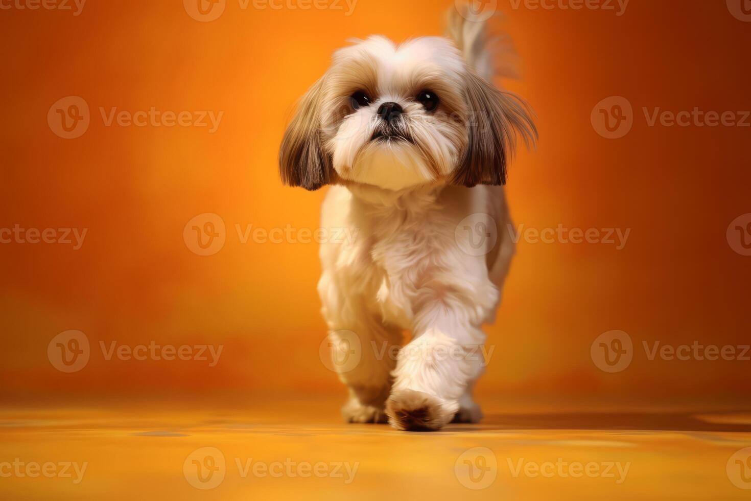 carino shih tzu nel natura, nazionale geografia, largo vita animali. ai generato. foto