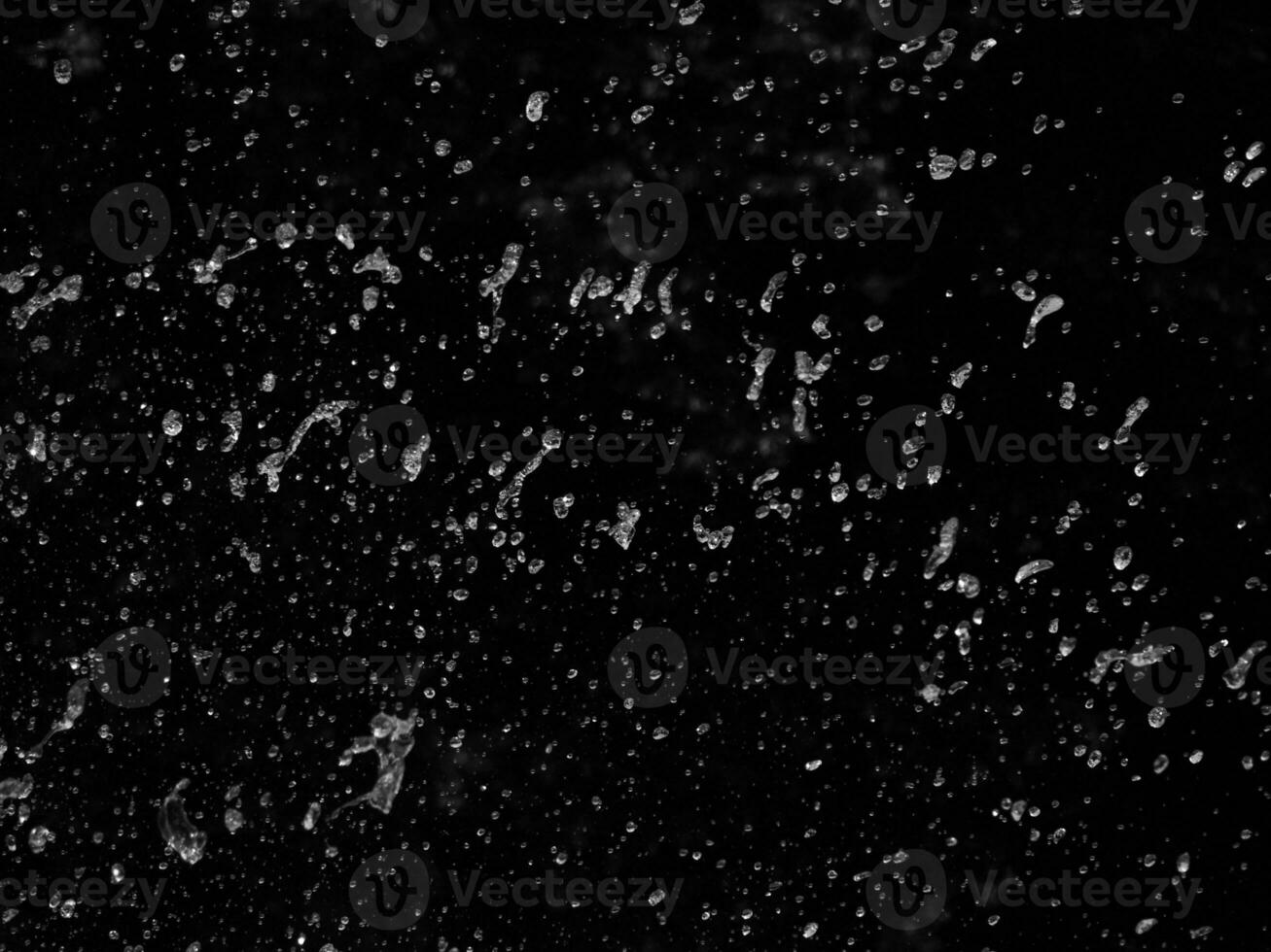 gocce di acqua su un' nero sfondo. nero e bianca foto. spruzzi di pioggia. foto nel il momento. fermare il momento. sfondo e struttura per design