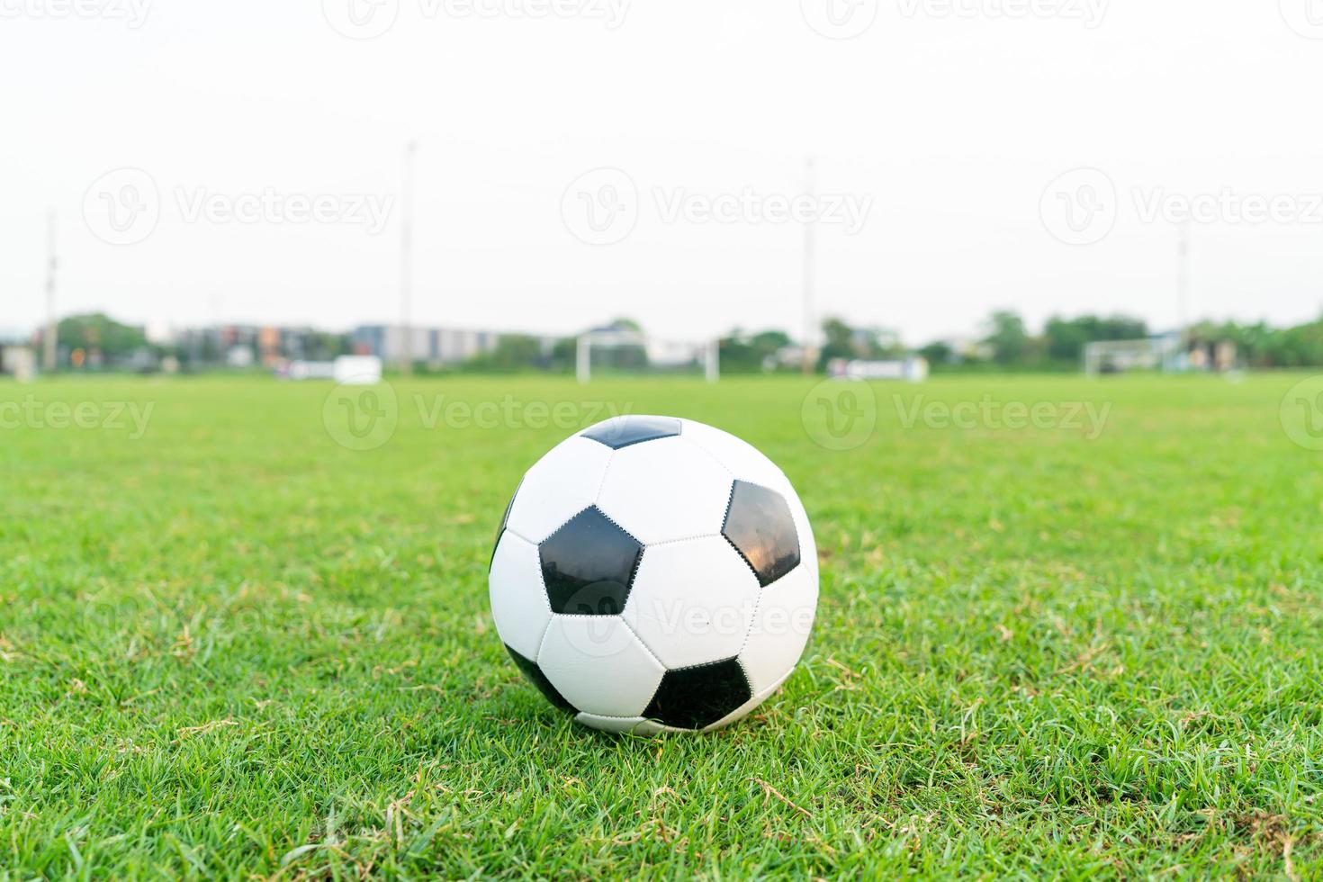 pallone da calcio sul campo da calcio foto