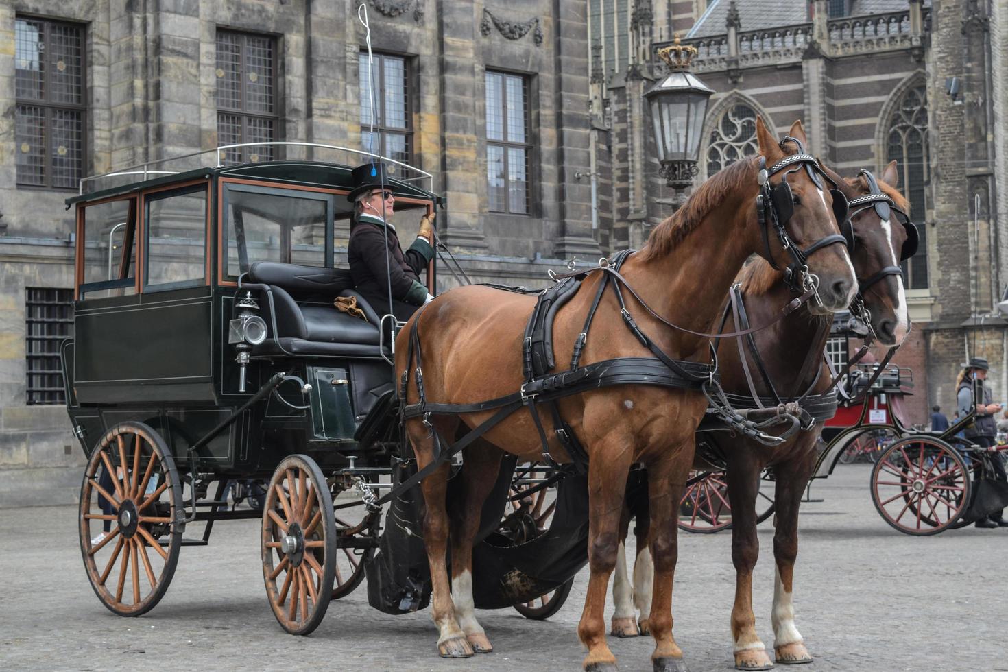 la bella amsterdam a giugno foto