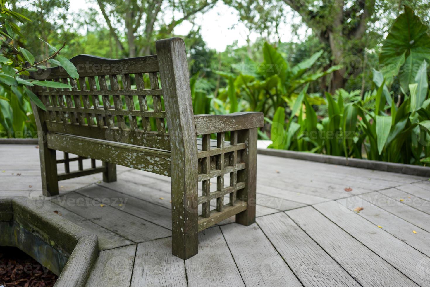 panchina nel giardino botanico di singapore foto