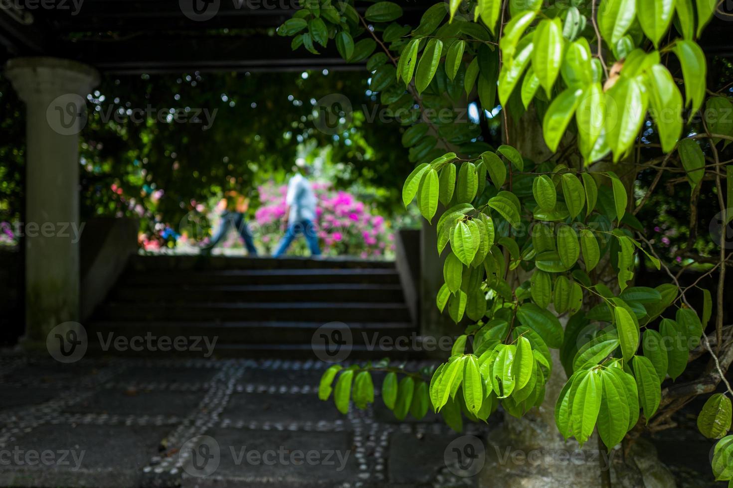 il giardino botanico di kuala lumpur foto