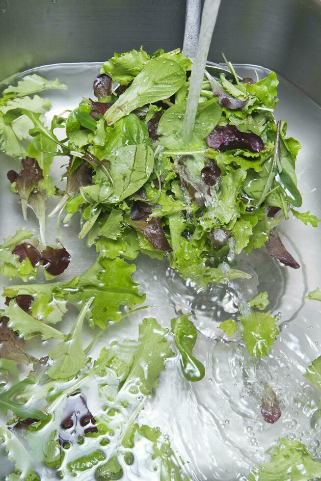 lavare il insalata verdura foto