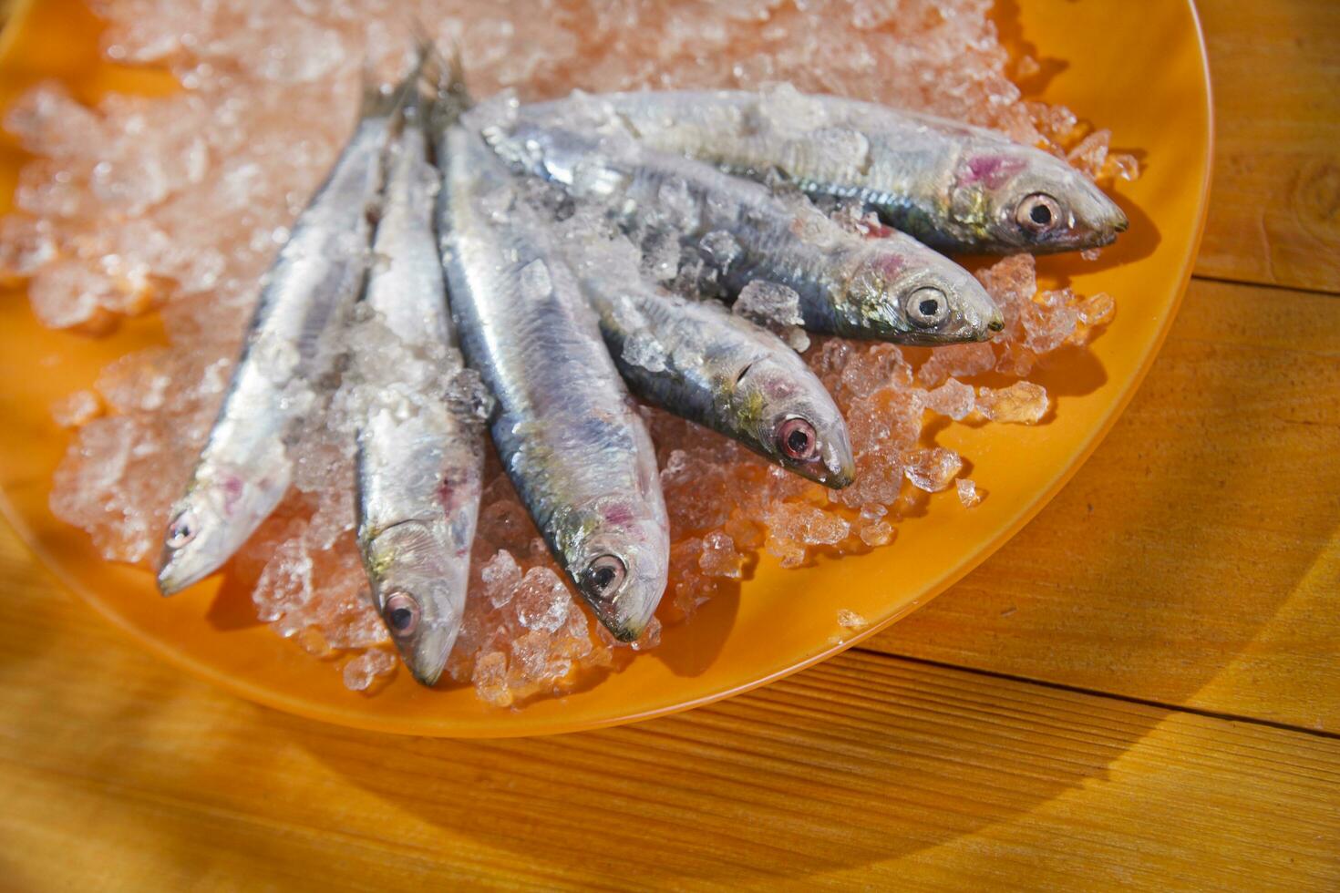 un' piatto di sardine su ghiaccio foto