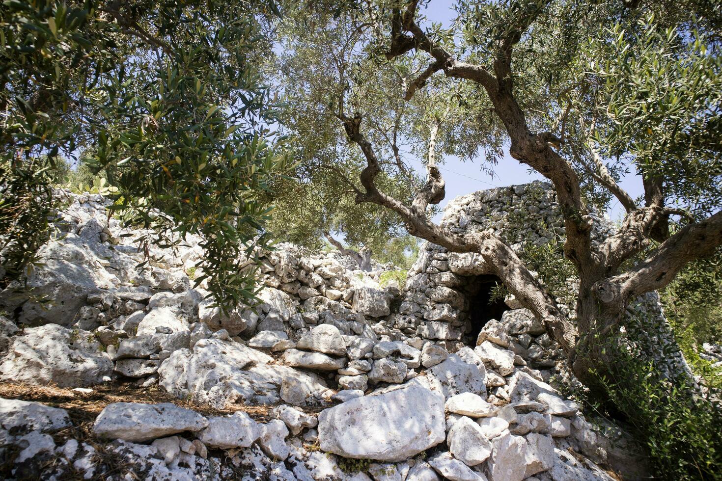 il pajare di salento foto