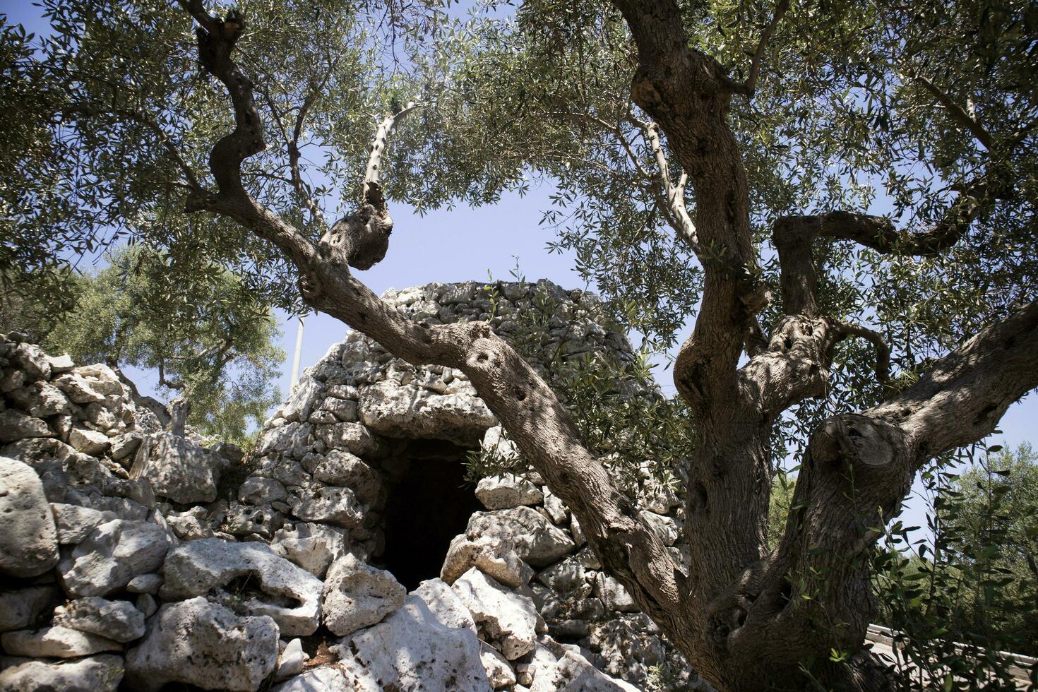 il pajare di salento foto