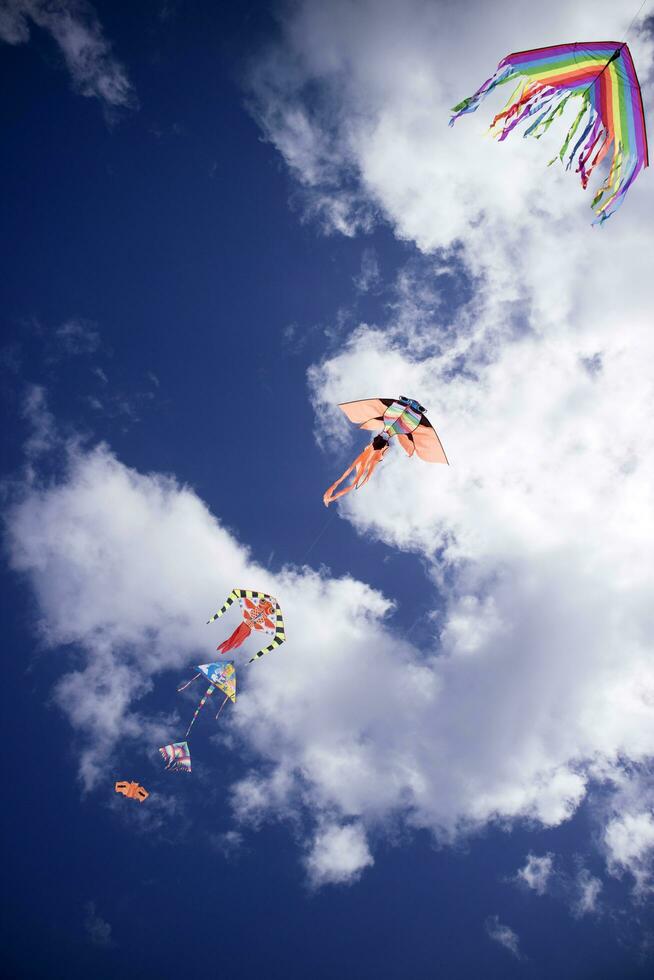 colorato aquilone nel il cielo foto