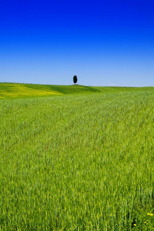 Visualizza di il valle orcia foto