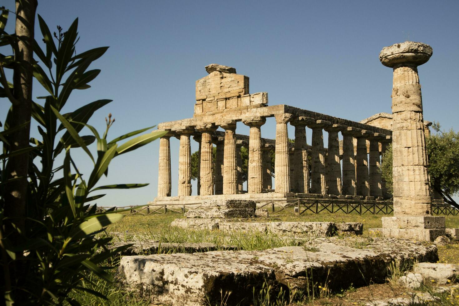 il antico rovine di paestum foto