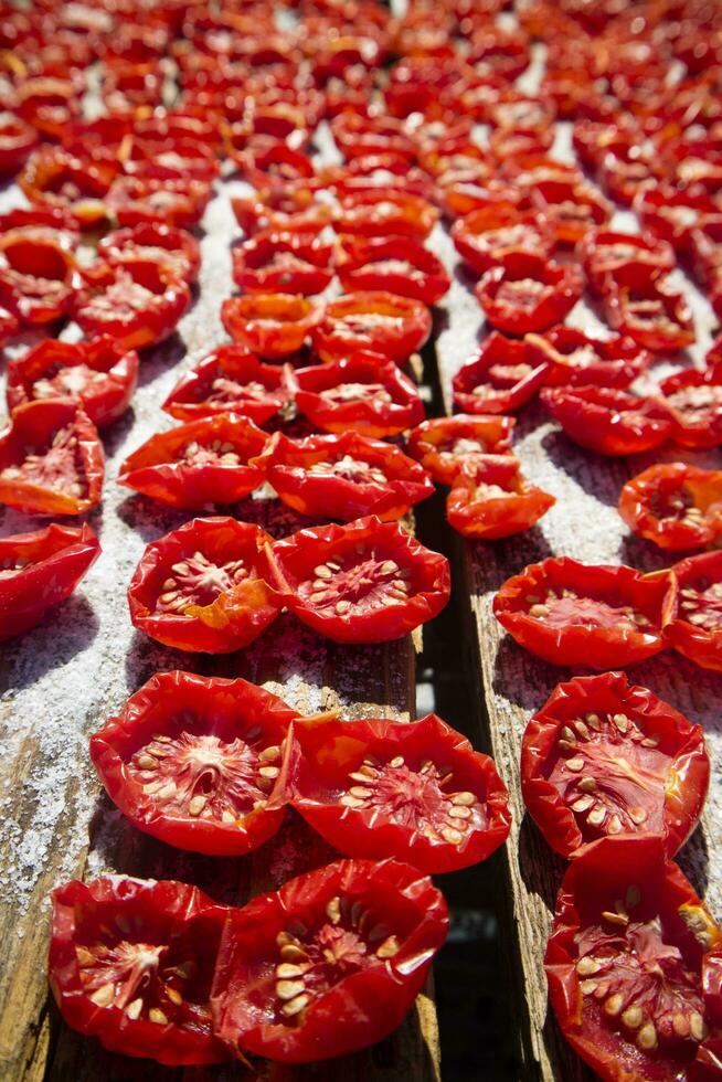 pachino pomodoro per asciutto foto