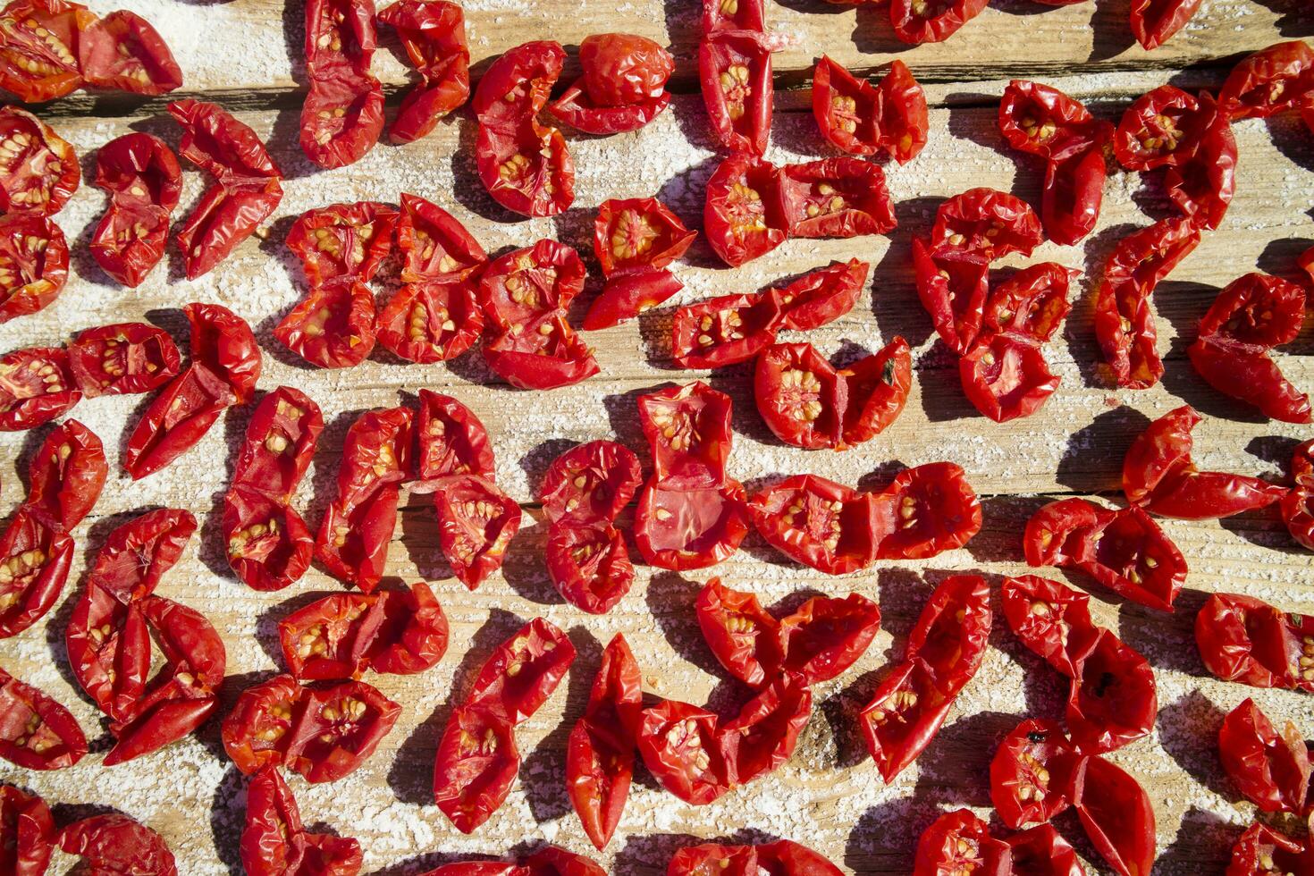 pachino pomodoro per asciutto foto