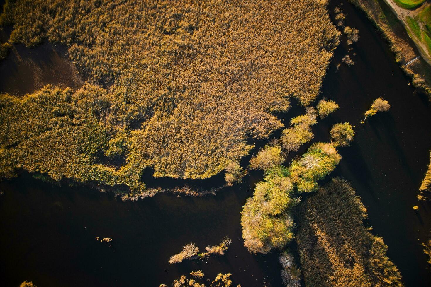 paludoso la zona di lago di Porta foto