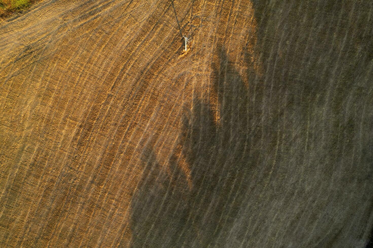 aereo fotografico documentazione di il forma di il i campi foto