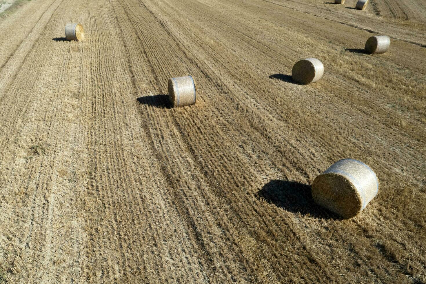 aereo Visualizza di un' il giro balla campo nel mezza estate foto