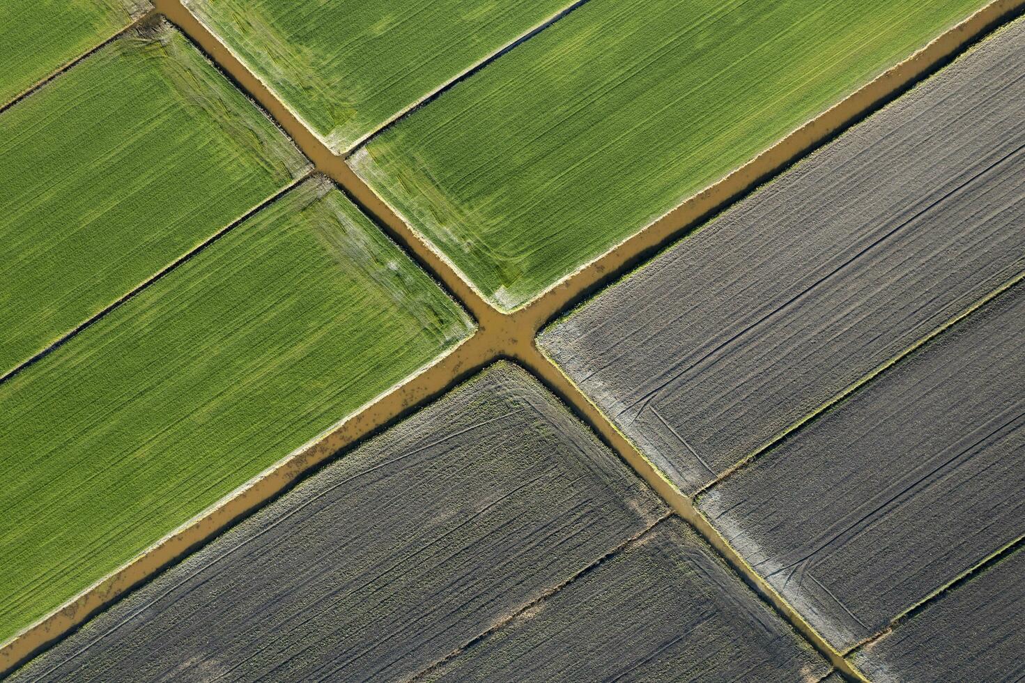 aereo tiro di il giometrico forme di il i campi foto